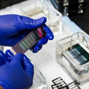 Foto di National Cancer Institute su Unsplash